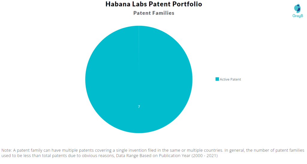 Habana Labs Patent Portfolio 