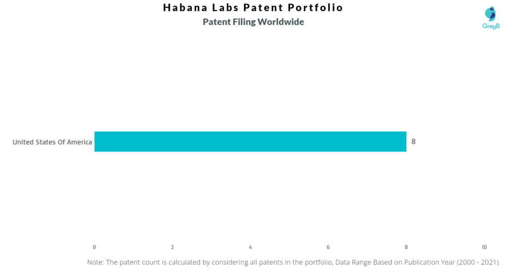 Habana Labs Patent Portfolio Worldwide