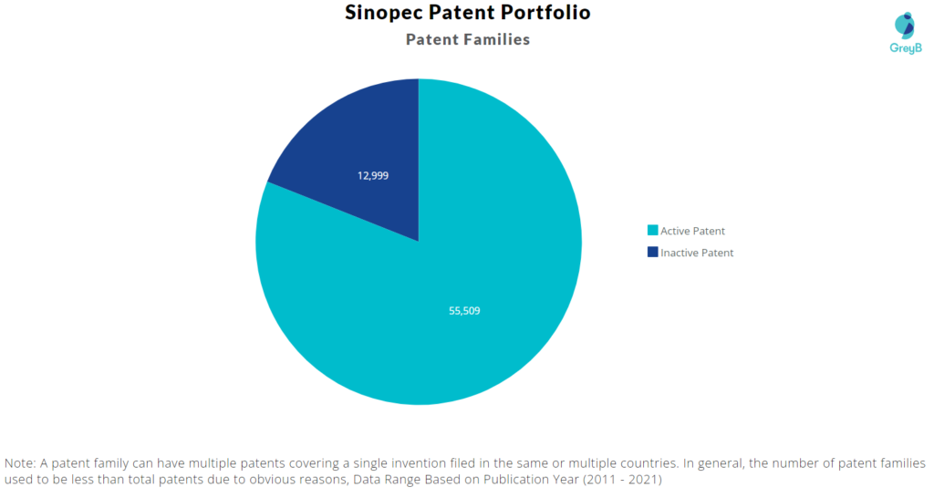 Sinopec Patent Families 