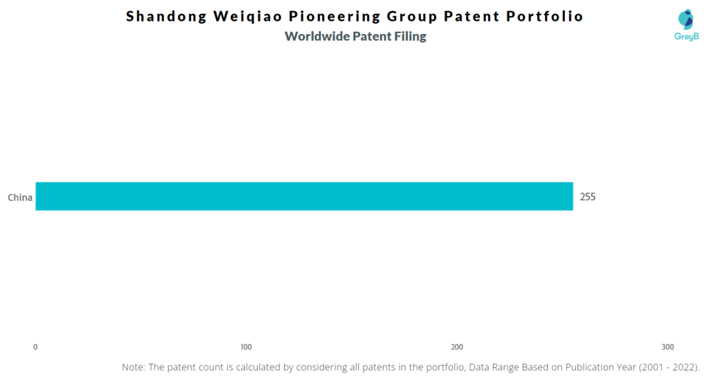 Shandong Weiqiao Pioneering Group 
Worldwide Patents