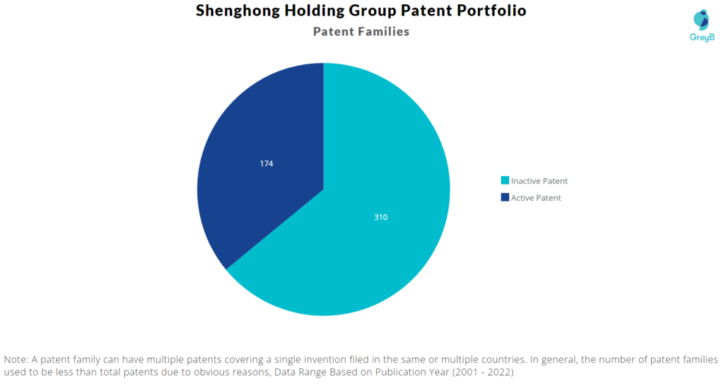 Shenghong Holding Group Patent Portfolio