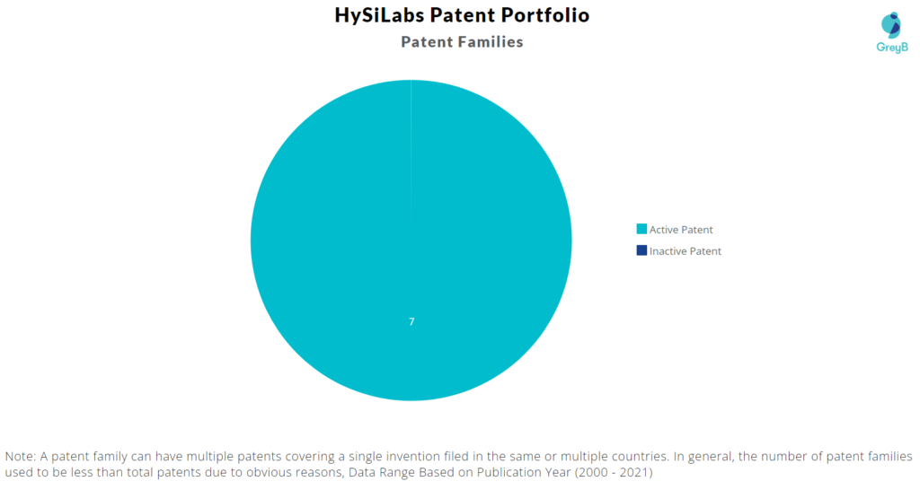 HySiLabs Patent Portfolio