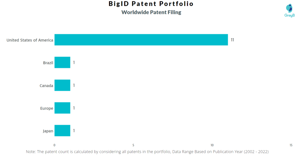BigID Inc Worldwide Patents