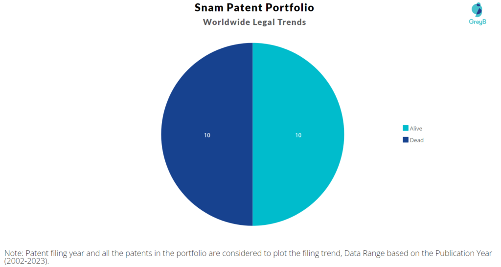 Snam Patent Portfolio
