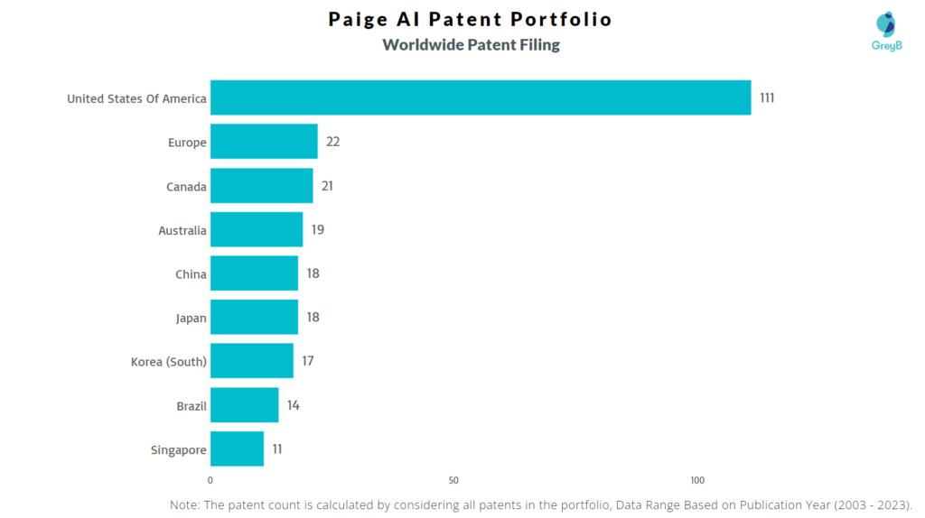 Paige AI Worldwide Patent Filing