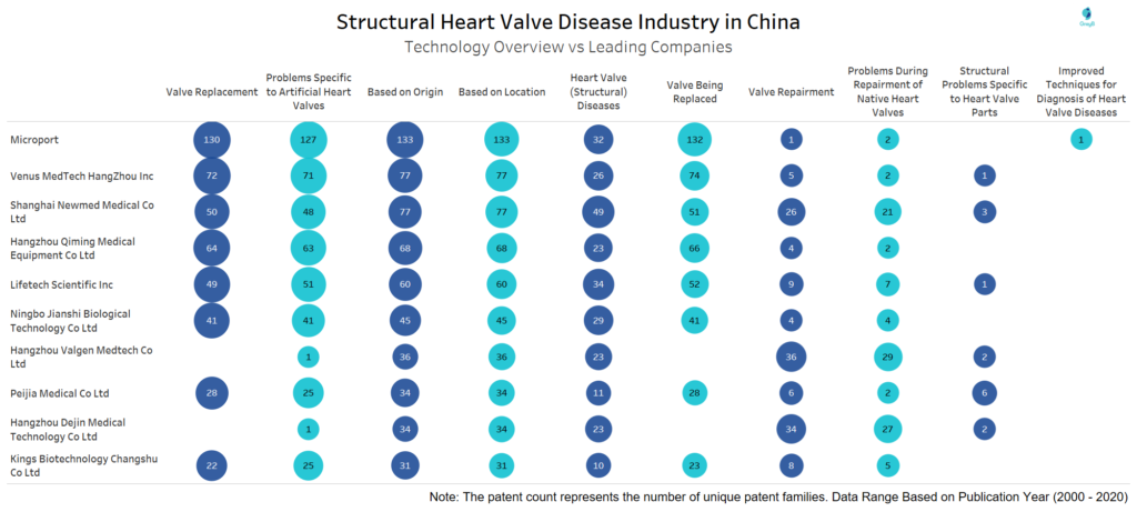 Technology VS Leading Companies of Heart Valve Patent Innovations in China