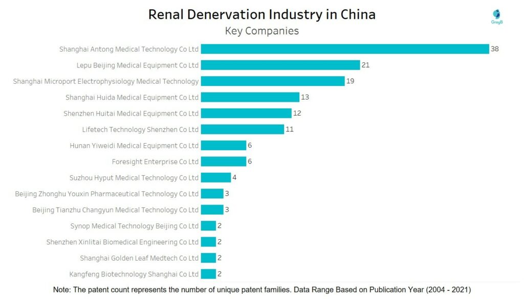 Renal Denervation - Key Companies in China