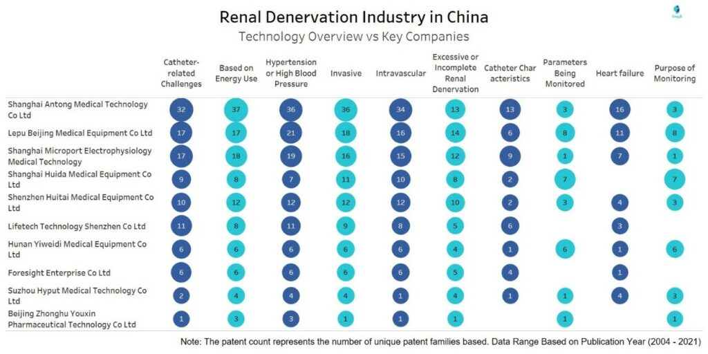 Renal Denervation - Technology Overview of Key companies in China