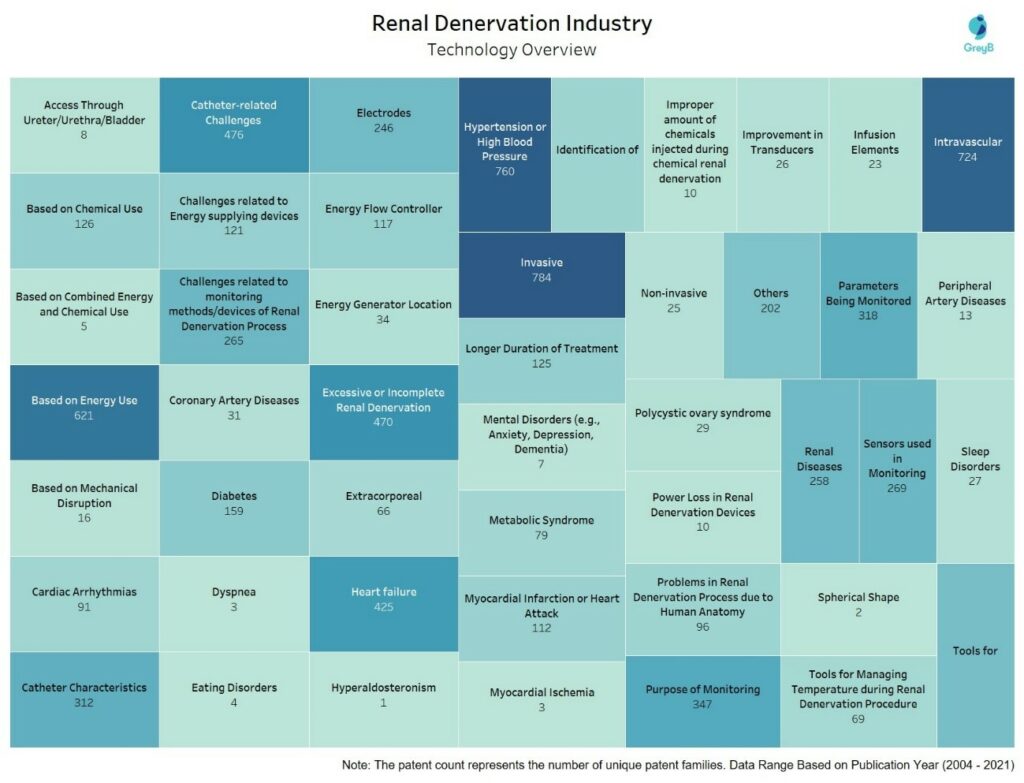 Renal Denervation - Technology Overview