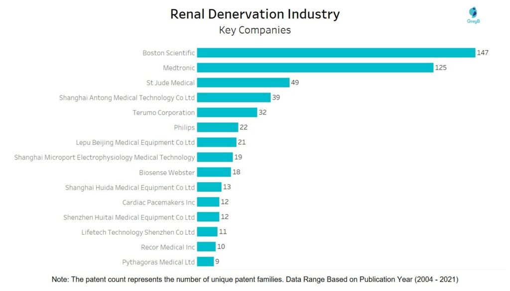 Renal Denervation - Key Companies