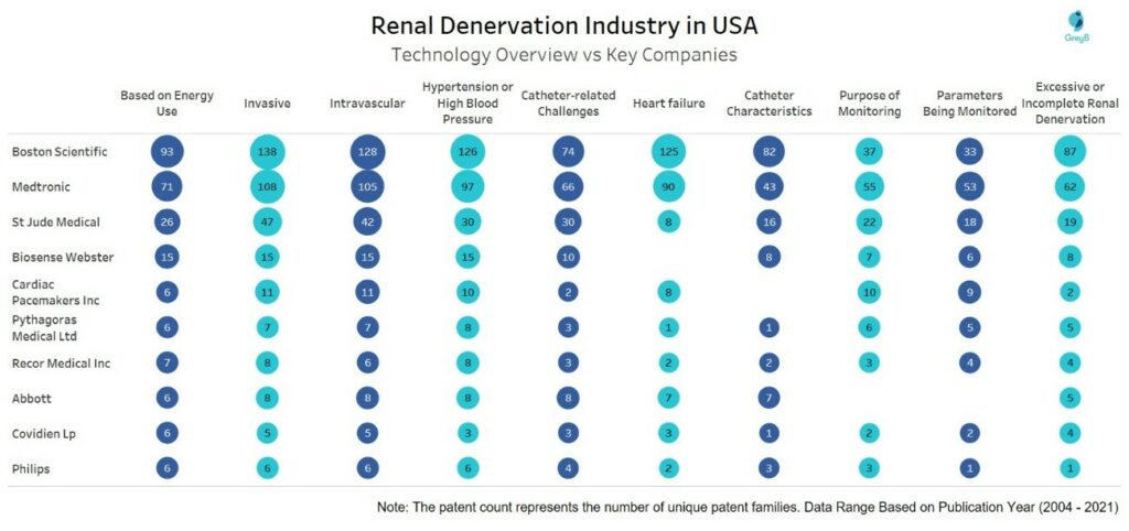 Renal Denervation - Technology overview of key companies in USA