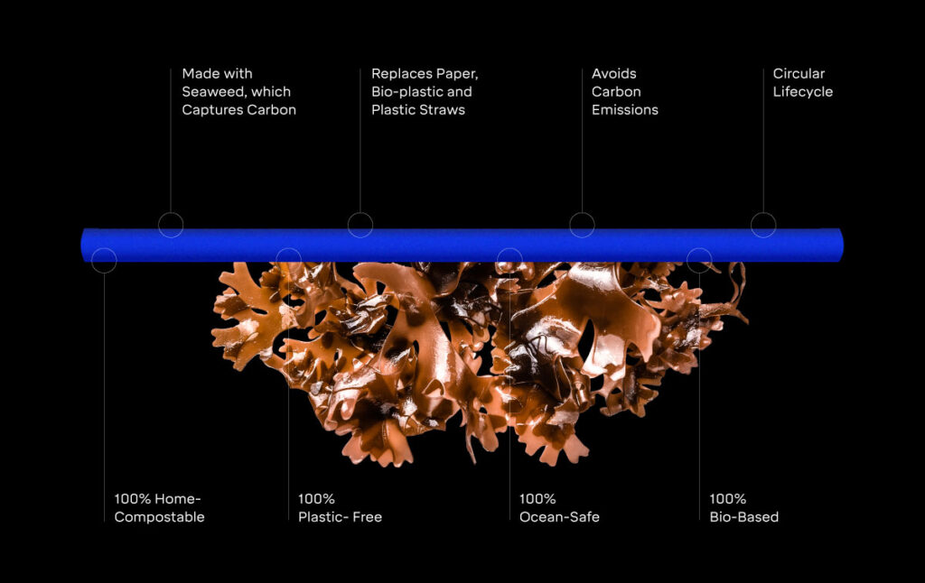 Positive impacts of Loliware's seaweed-based material