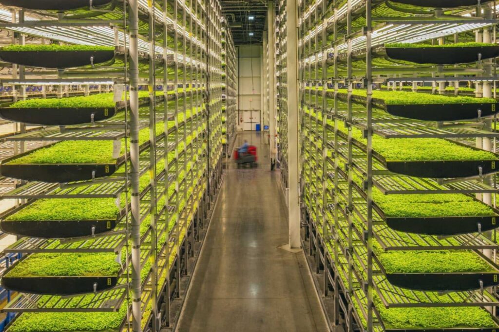 AeroFarms Vertical Farming