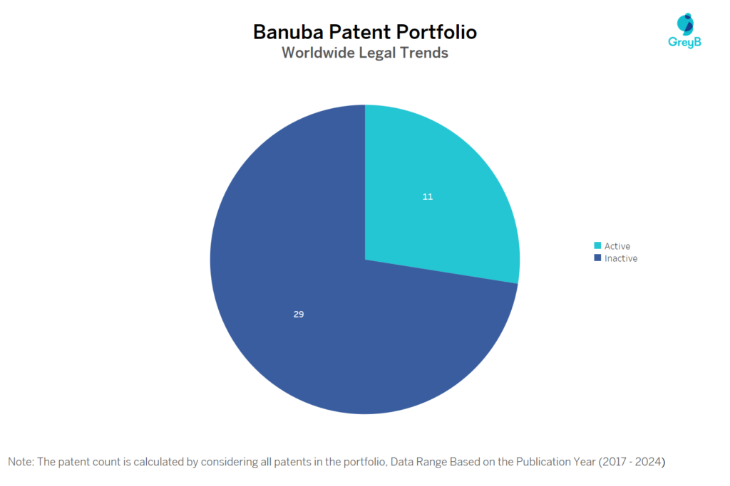 Banuba Patent Portfolio