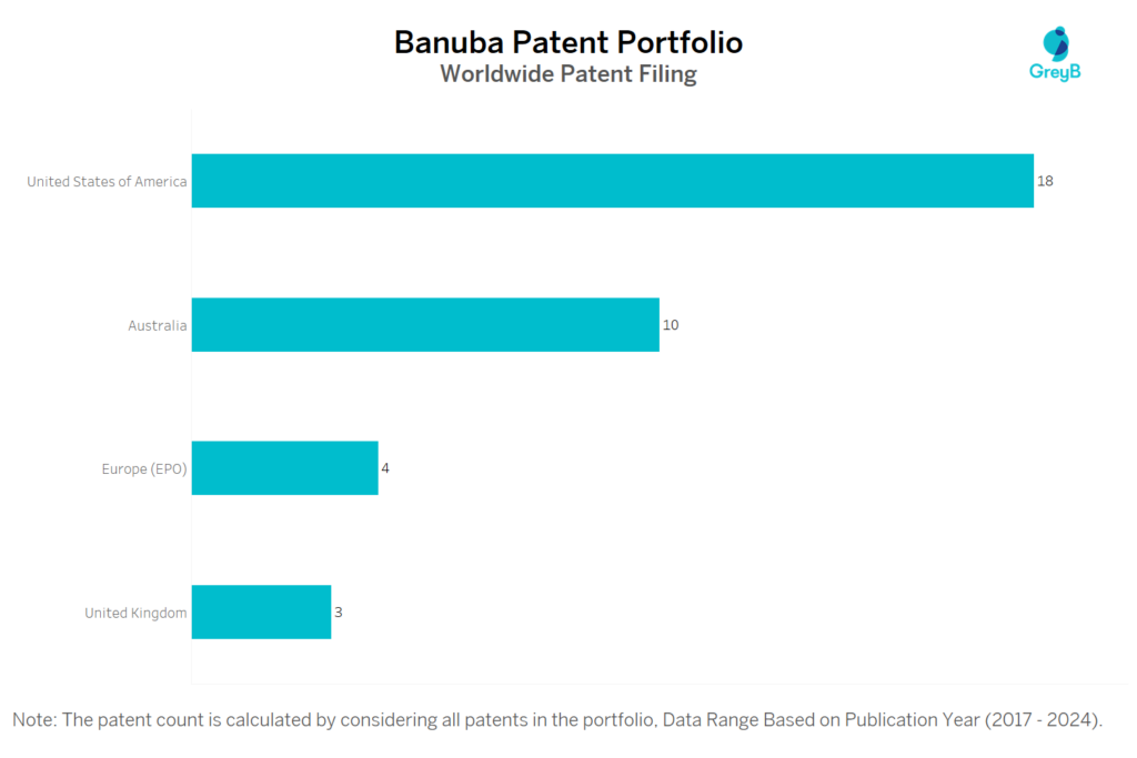 Banuba Worldwide Patent Filing