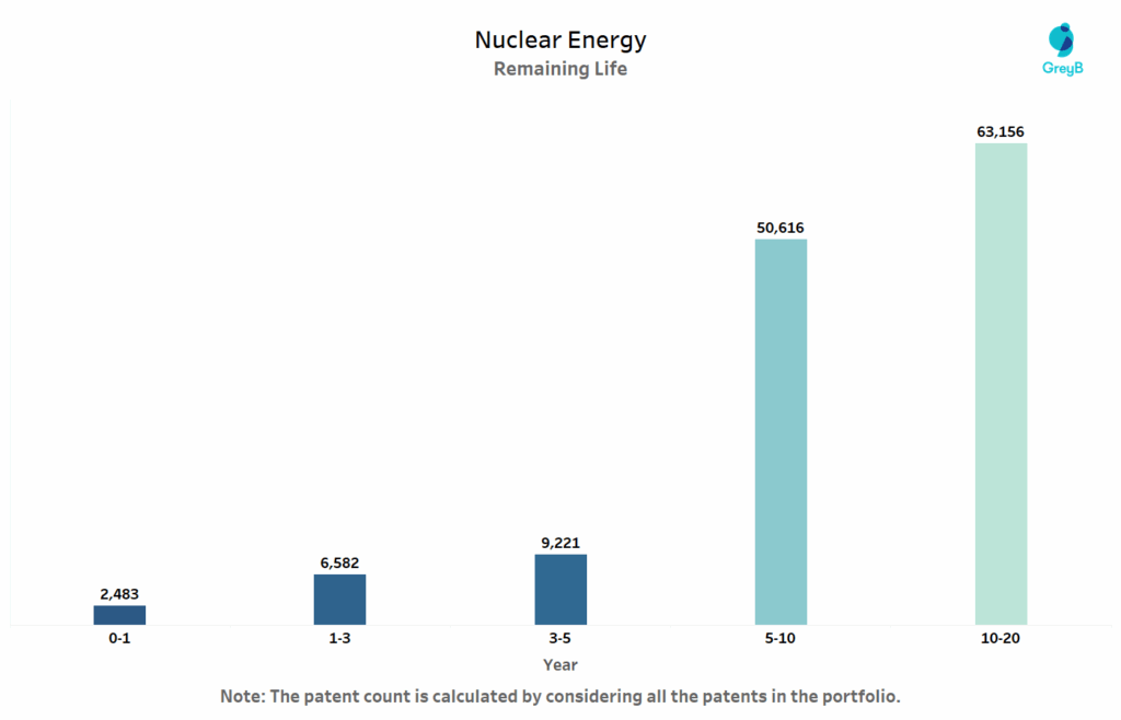 Nuclear Energy Remaining Life of Patents